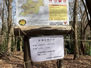 福寿草2023F.jpg