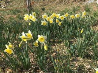 IMG_1246s.jpg