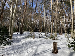 IMG_3202.JPEG