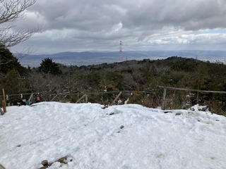 IMG_3204.JPEG